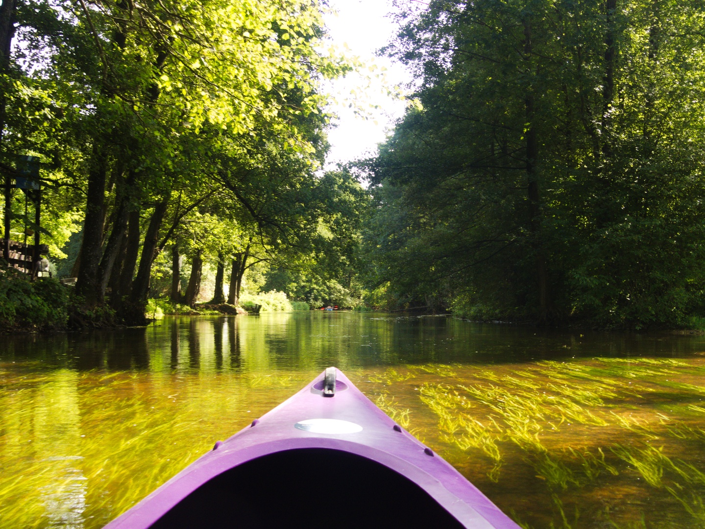 Kayaks Podlasie - wellness, forest bathing and wild nature of Suwałki region